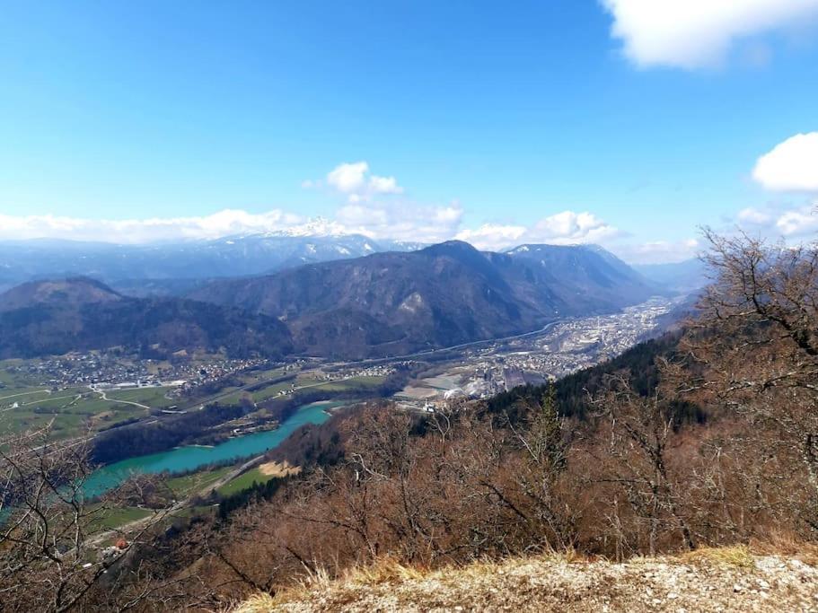 Apartma Juli Zirovnica Bagian luar foto