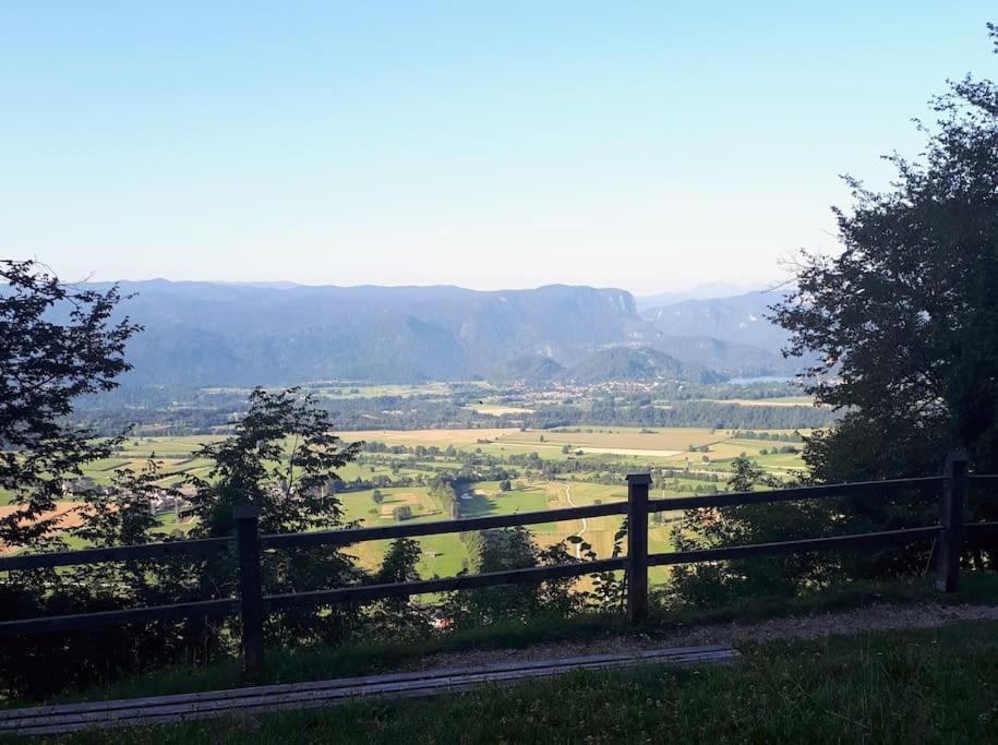 Apartma Juli Zirovnica Bagian luar foto